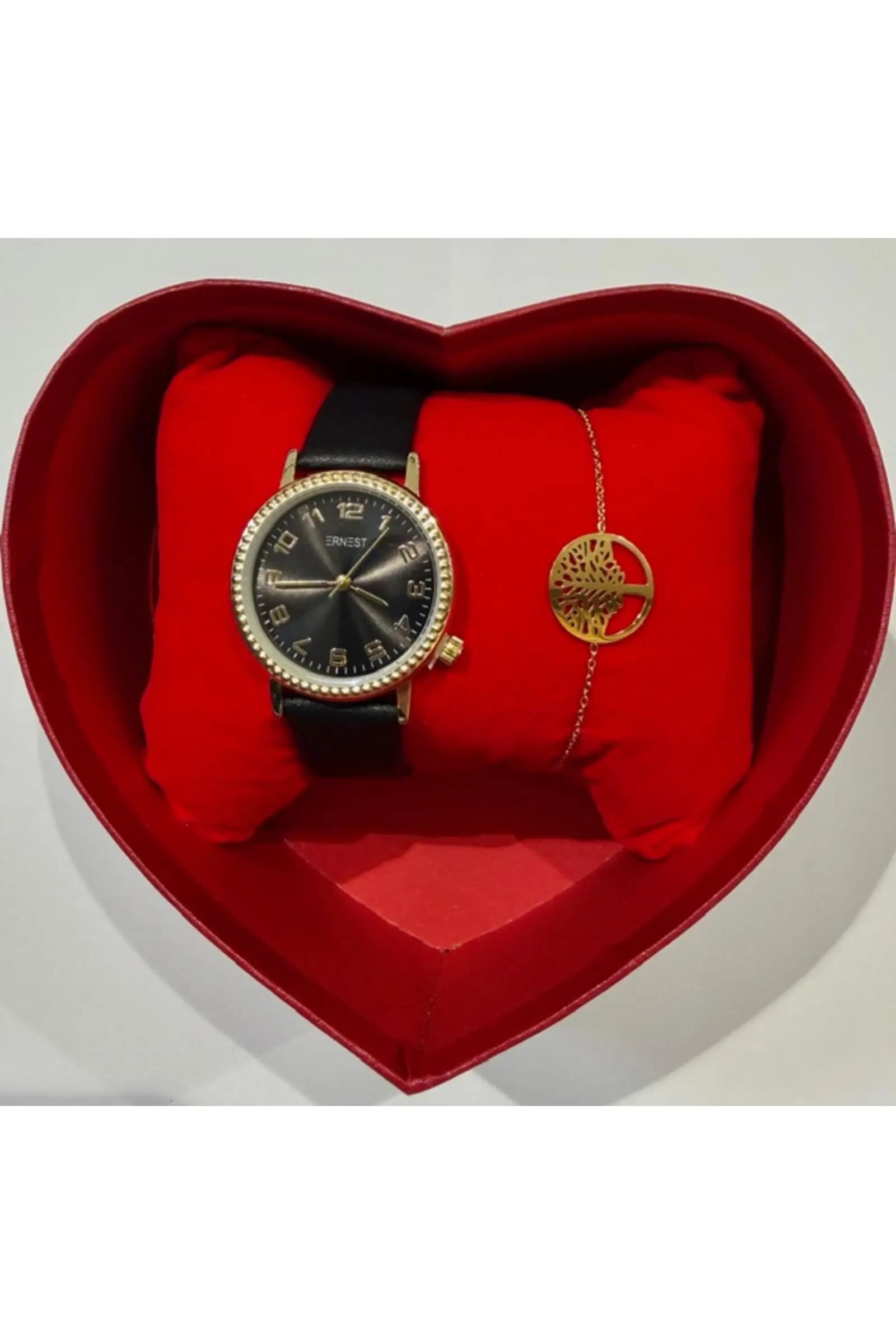 COFFRET MONTRE ERNEST