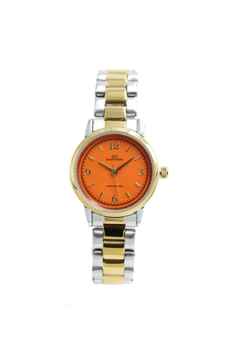 MONTRE TENDANCE FEMME GIORGIO & DARIO BRACELET EN ACIER